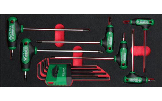 Cetaform K99-12-E14 14 Parça T Saplı Ve L Torx Anahtar Seti